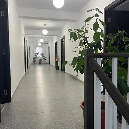 Din Natura Guest house