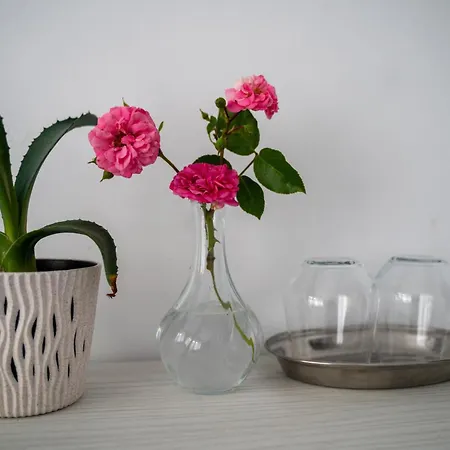 Din Natura
