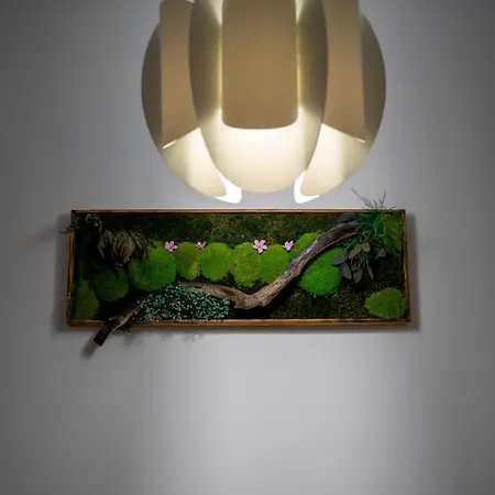 Guest house Din Natura